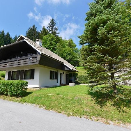 Holiday Home Davca ツェルクノ エクステリア 写真