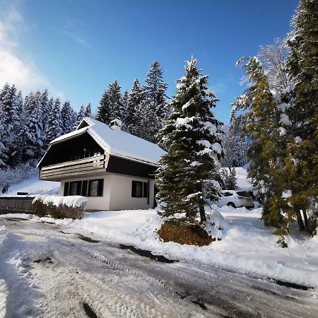 Holiday Home Davca ツェルクノ エクステリア 写真