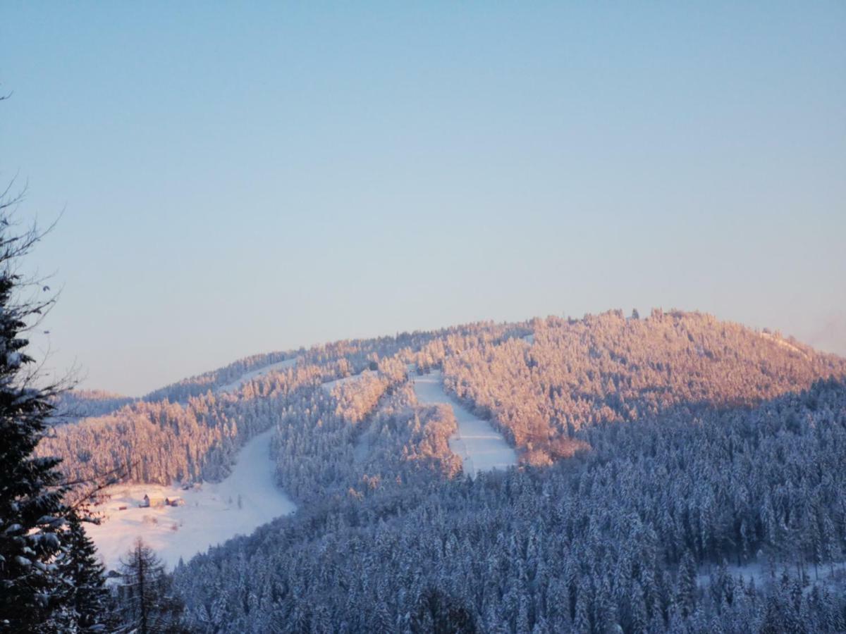 Holiday Home Davca ツェルクノ エクステリア 写真